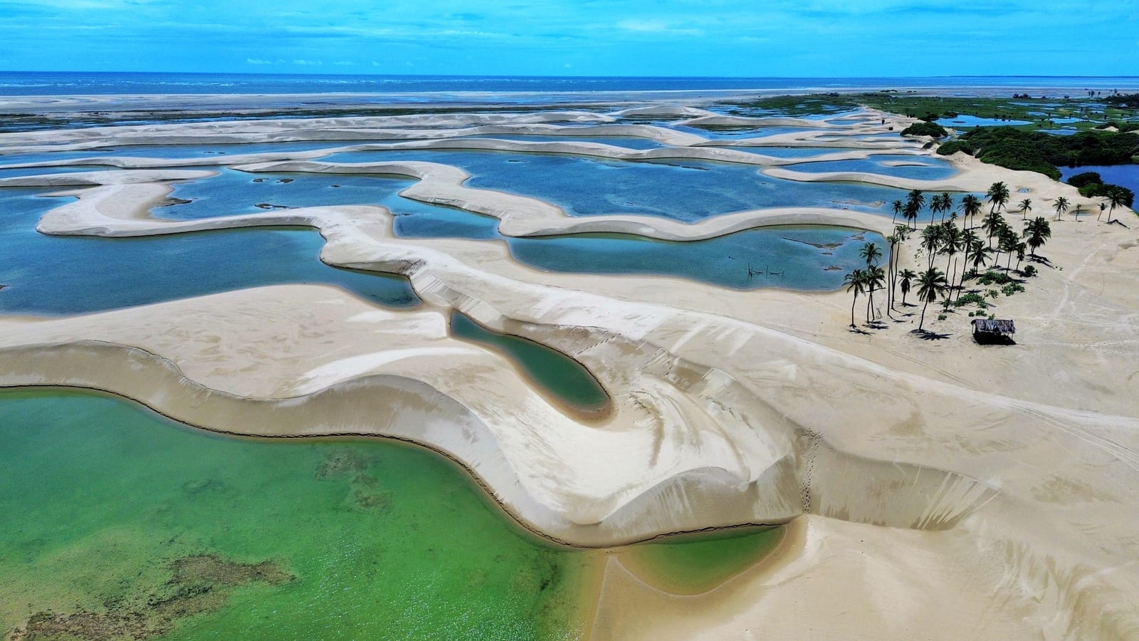 Vista aérea de dunas, lagoas e palmeiras nos Pequenos Lençóis Maranhenses